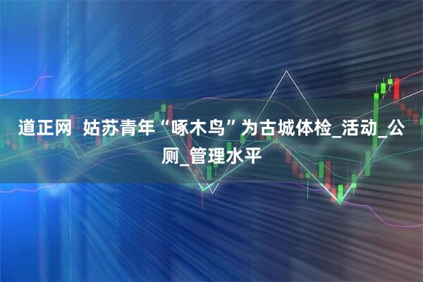 道正网  姑苏青年“啄木鸟”为古城体检_活动_公厕_管理水平