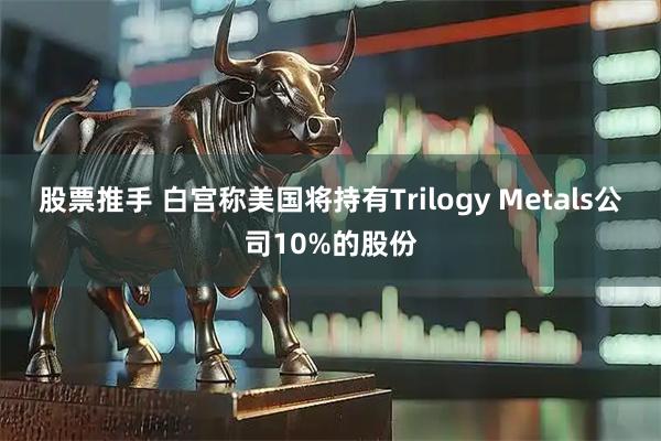 股票推手 白宫称美国将持有Trilogy Metals公司10%的股份