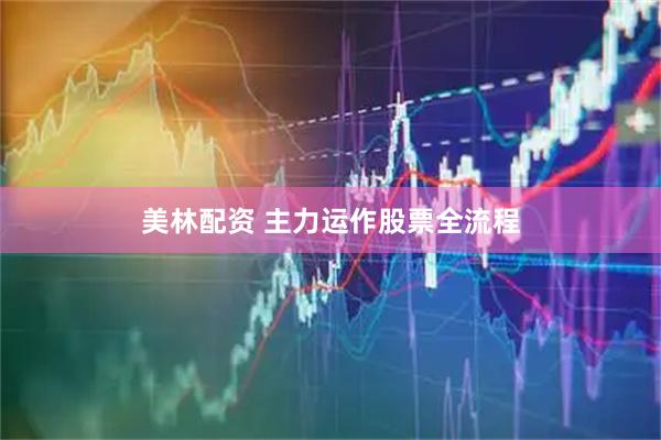 美林配资 主力运作股票全流程
