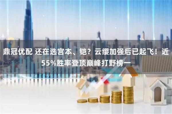 鼎冠优配 还在选宫本、铠？云缨加强后已起飞！近55%胜率登顶巅峰打野榜一